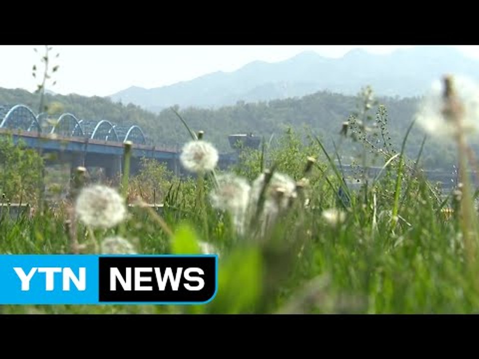 [날씨] 때 이른 여름 더위 계속...오전 미세먼지↑ / YTN