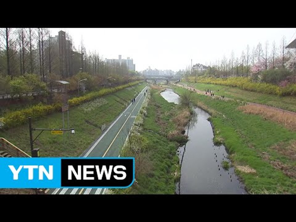 [날씨] 구름 많고 초여름 더위...밤부터 남부 비 / YTN
