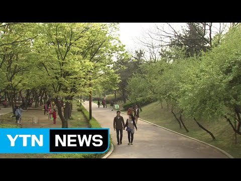 [날씨] 구름 많고 따뜻...경남 아침, 영서 오후 비 / YTN