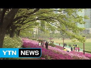 [날씨] 흐리고 따뜻...경남 출근길·영서 오후 비 / YTN