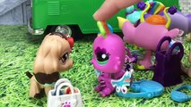 ❥ Minişler: Okul Maceraları Bölüm 9 - Minişler Cupcake Tv - LPS Littlest Pet Shop