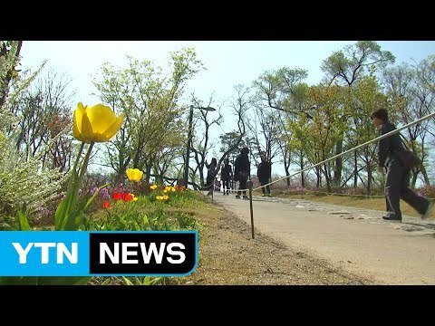 [날씨] 맑고 따뜻한 봄...남해안·제주 오전까지 비 / YTN