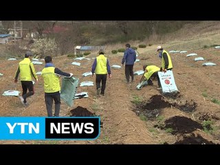 한해 농사 준비 분주...인력 부족은 매년 반복 / YTN