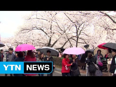[날씨] 따뜻한 날씨...오후 구름 많고 곳곳 소나기 / YTN (Yes! Top News)