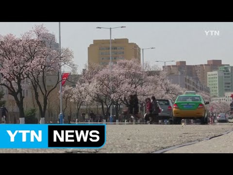 軍 "北, 군사 특이 동향 없어...열병식 준비 중" / YTN (Yes! Top N...