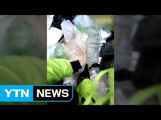 애완견 때리고 산채로 쓰레기봉투에 버린 20대 입건 / YTN (Yes! Top News)