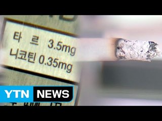'담배 독성' 정부 조사 첫 공개...1급 발암물질만 7개 / YTN (Yes! Top News)