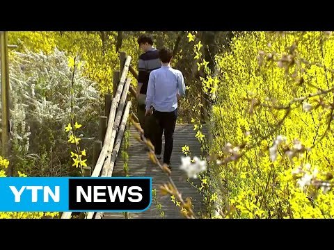 [날씨] 오늘 맑고 선선...서해안에 황사 가능성 / YTN (Yes! Top News)
