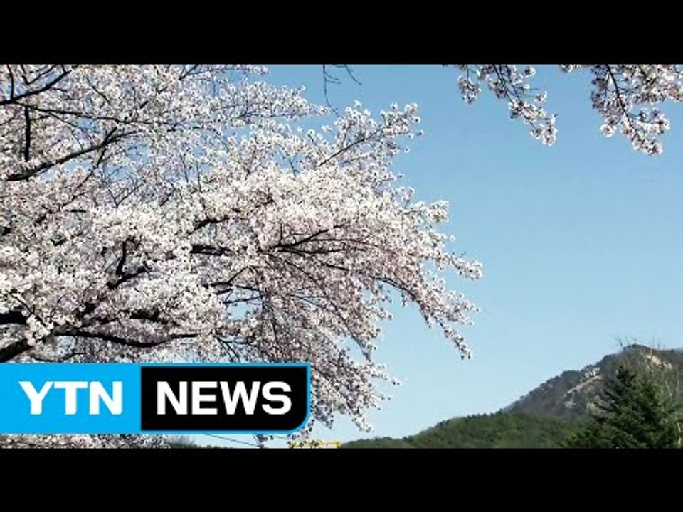 [날씨] 옅은 황사로 미세먼지 '주의'...내일 다시 포근 / YTN (Yes! To...