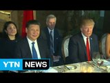 트럼프-시진핑, 첫 정상회담...북핵·무역 담판 / YTN (Yes! Top News)