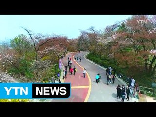 [영상] 봄꽃 향기 가득한 서울 남산타워 / YTN (Yes! Top News)