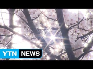 [날씨] 벚꽃 만발한 호수의 봄...낮 동안 따뜻해요 / YTN (Yes! Top News)