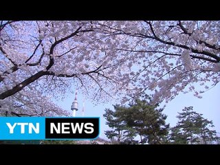 [날씨] 오늘 맑고 따뜻한 봄...남부 밤부터 비 / YTN (Yes! Top News)