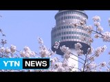 [날씨] 완연한 봄 날씨, 공기도 깨끗...남부 밤부터 비 / YTN (Yes! Top News)