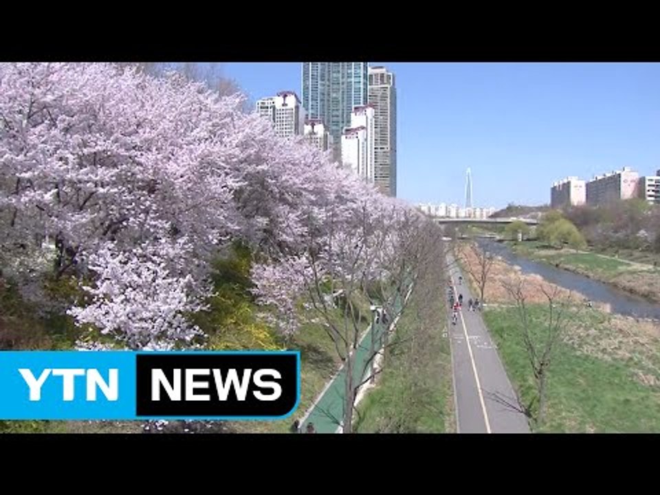 [날씨] 깨끗한 공기, 따뜻한 날씨...내일 남부 봄비 / YTN (Yes! Top...
