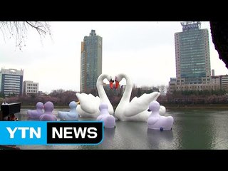 '힐링의 장' 공공미술은 진화 중 / YTN (Yes! Top News)