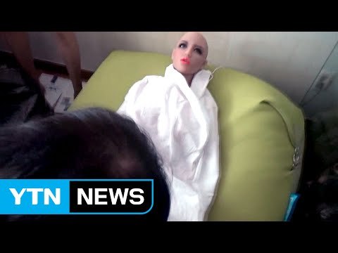 마네킹으로 둔갑 ...성인용 인형 불법 밀수 적발 / YTN (Yes! Top News)