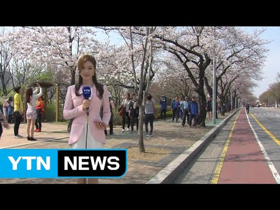 [날씨] 주말 구름 많고 따뜻...꽃 나들이 좋아요 / YTN (Yes! Top News)