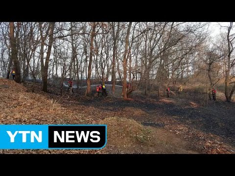 야산에서 불...쓰레기 태우다 옮겨붙어 / YTN (Yes! Top News)