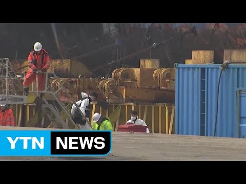 또 돼지 뼈 추정 뼛조각...유골 유실 우려 커져 / YTN (Yes! Top News)