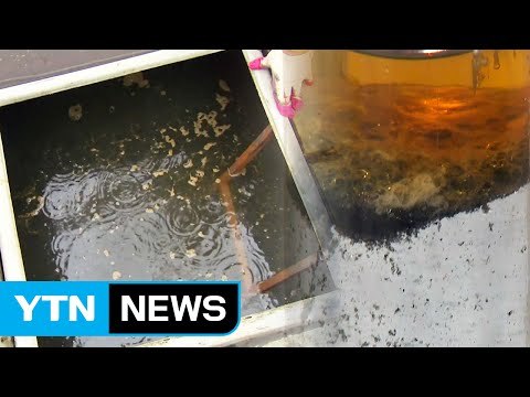 용산 미군기지 기름유출 심각 ...美 내부 보고서 공개 / YTN (Yes! Top News)