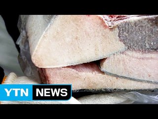 산속에 밍크고래 4t 보관해 고래고기 불법 유통 / YTN (Yes! Top News)