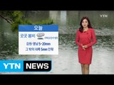 [날씨] 전국 흐리고 봄비...낮 동안 서늘 / YTN (Yes! Top News)