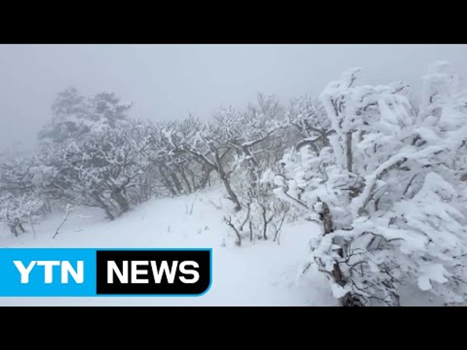 [영상] 만우절 거짓말 같이...눈 내린 강원도 / YTN (Yes! Top News)