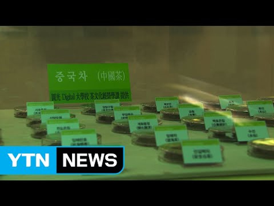 "천 년 역사 지닌 하동 녹차 한눈에 보세요" / YTN (Yes! Top News)