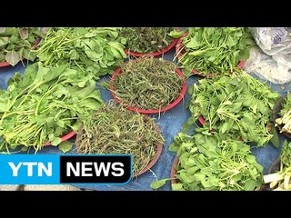 농산물 직거래장터 '봄기운' 가득 / YTN (Yes! Top News)