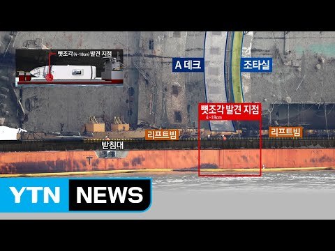 결국 동물 뼈로 드러나...혼란 자초한 해수부 / YTN (Yes! Top News)