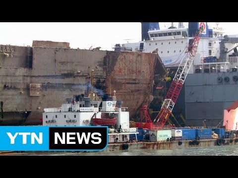 세월호 유골, 동물 뼈로 확인 ...세월호 내일쯤 목포로 출발 / YTN (Yes! Top News)