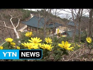 전국 곳곳 상춘객 '북적'...바빠진 들녘 / YTN (Yes! Top News)