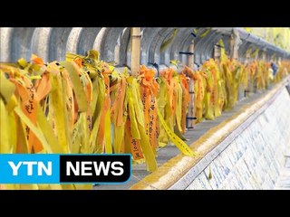 3년의 기다림 끝에 9명 모두 만날 수 있기를... / YTN (Yes! Top News)