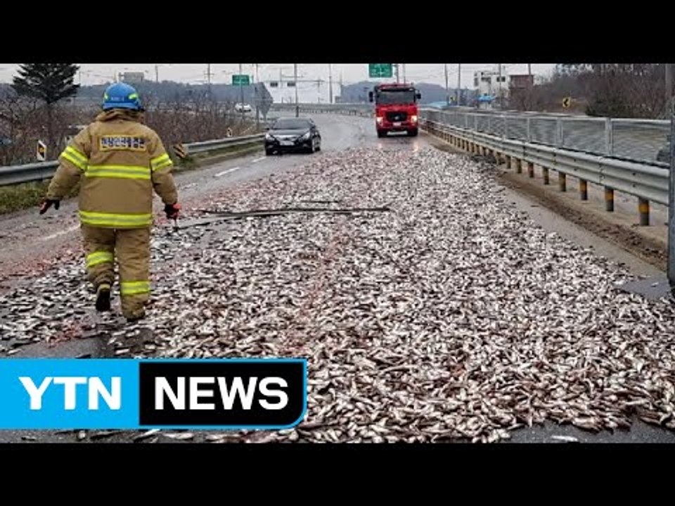 트럭 사고로 도루묵 '와르르'...2시간 정체 / YTN (Yes! Top News)