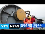 [YTN 실시간뉴스] 세월호, 이르면 모레쯤 목포 신항 이동 / YTN (Yes! Top News)
