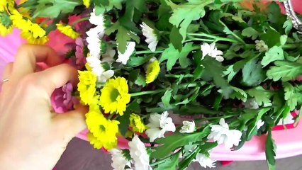 Cut Rapunzel Hair Johny Johny Yes Papa Nursery Rhyme Songs for Kids Real Life _ video for Children-bBqQJCpbB3Q