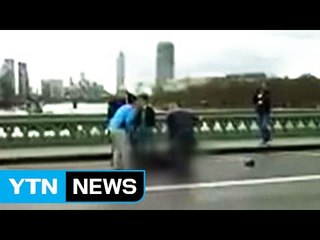 영국 의사당 부근서 경찰관 피습..."테러로 규정" / YTN (Yes! Top News)