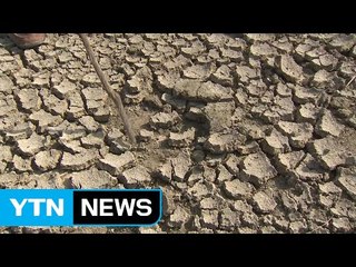 "물을 소중히 여기는 것, 가뭄 극복의 시작" / YTN (Yes! Top News)