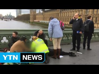 英 의사당 경찰관 흉기 피습..."테러로 규정" / YTN (Yes! Top News)