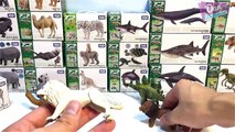 DINOSAURS, SEA ANIMALS & WILD ANIMALS TOY COLLECTION for Kids Takara Tomy Learn Fun Animal Names