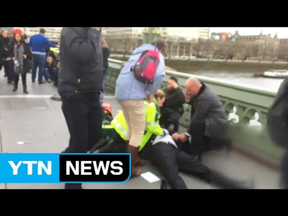 '런던 테러' 범인 50대 英 남성...IS, 배후 자처 / YTN (Yes! Top News)