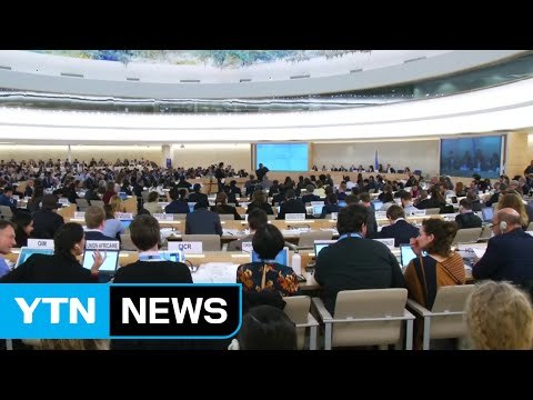 유엔 인권이사회, 초강력 북한 인권 결의 채택 / YTN (Yes! Top News)