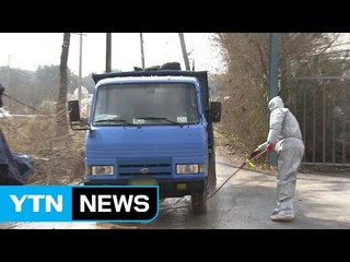 충남 논산에서 AI 의심 신고 / YTN (Yes! Top News)