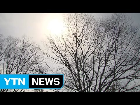 [날씨] 中스모그에 미세먼지 '비상'...마스크 필요해요 / YTN (Yes! Top News)