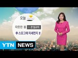 [날씨] 주말 미세먼지 말썽...낮 기온 크게 올라 / YTN (Yes! Top News)