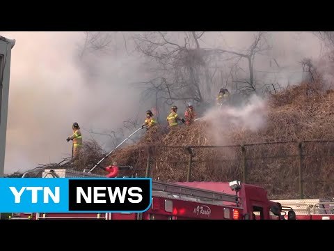 부산 야산에서 불...담뱃불 추정 / YTN (Yes! Top News)