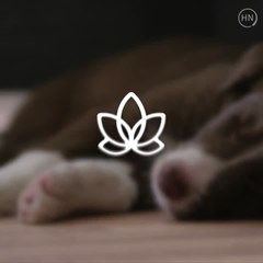 The Absolute Best Time of Day to Sneak In a Nap