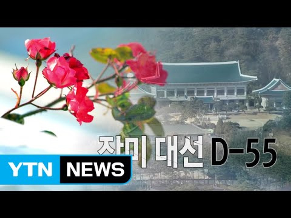 19대 대선 5월 9일 확정...황교안 고민 끝 대선 불출마 / YTN (Yes! T...
