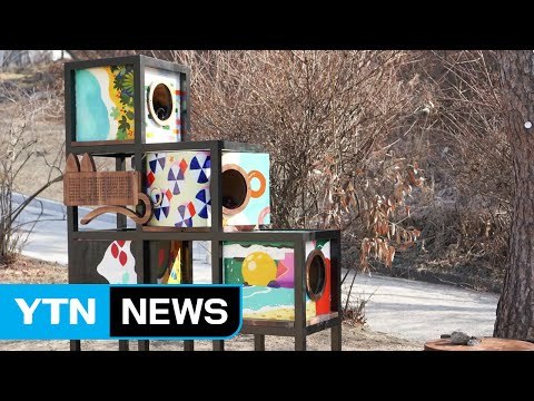 [좋은뉴스] 학생들의 따뜻함이 모여 완성된 '고양이 쉼터' / YTN (Yes! Top News)